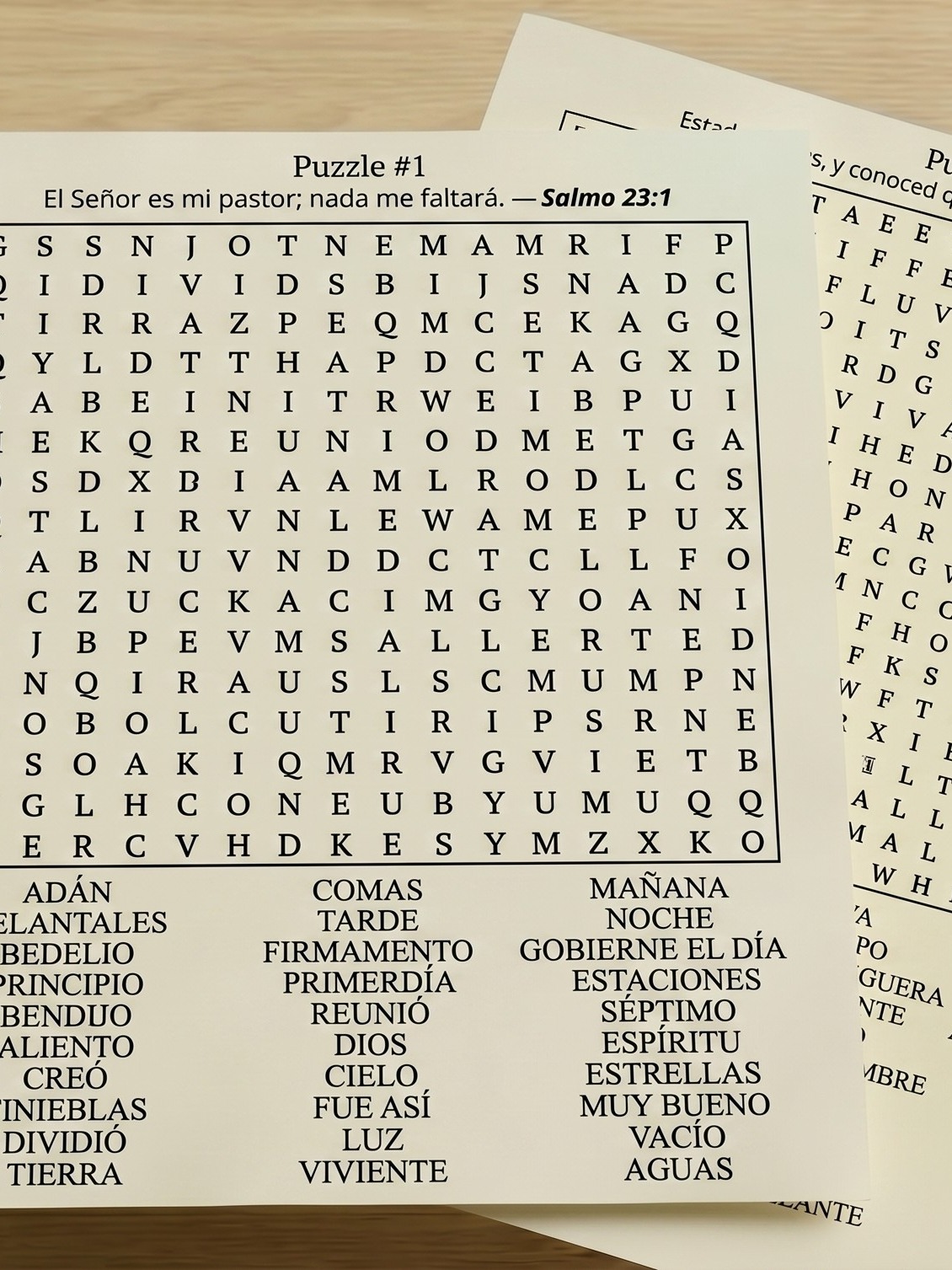 Sopa de Letras de la Biblia sample page